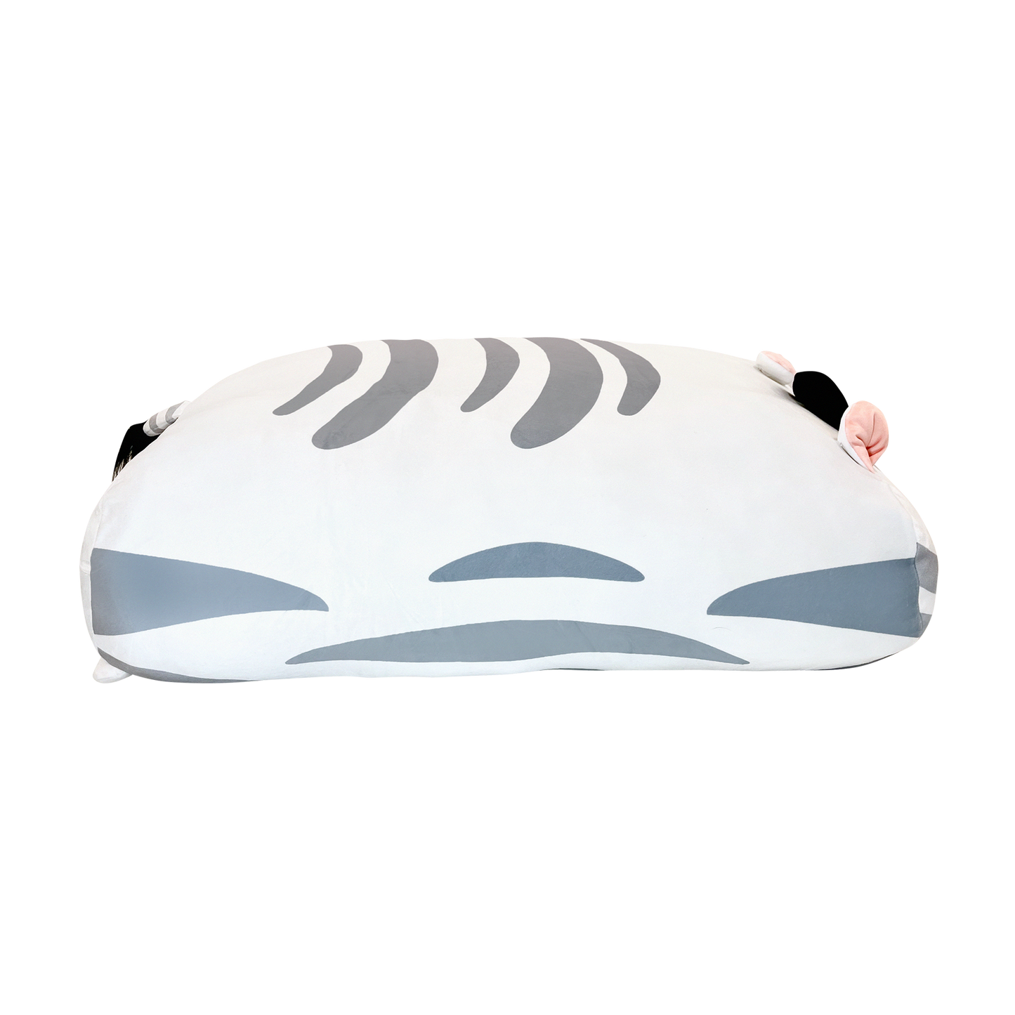 LIMITED EDITION | Zizi The Zebra