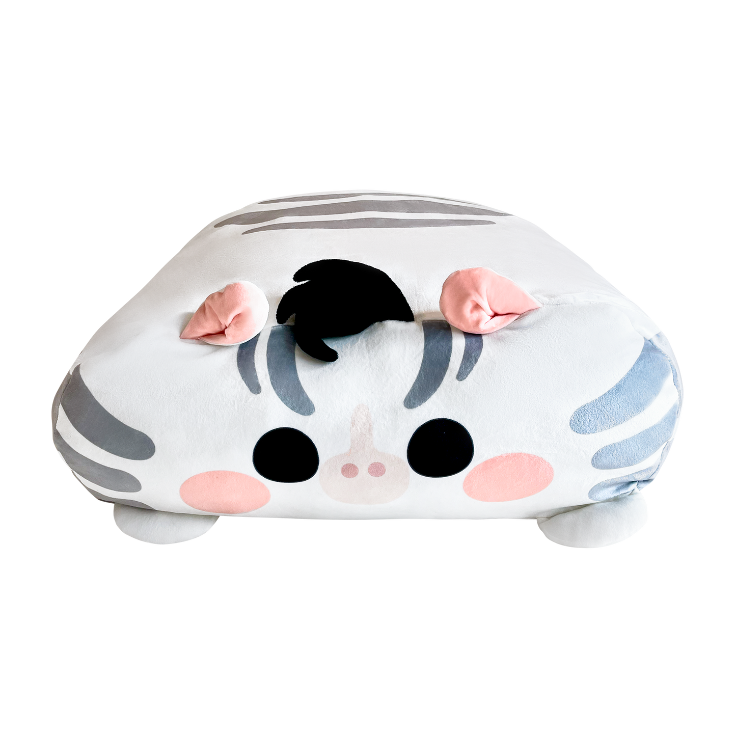 LIMITED EDITION | Zizi The Zebra